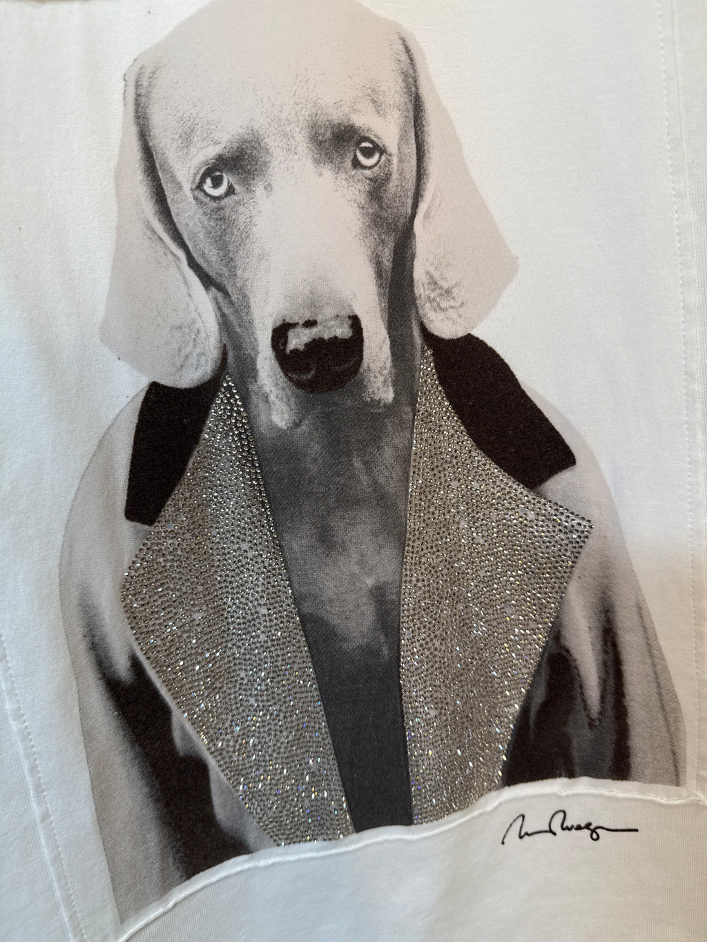 Max mara sparkly alcide XXL