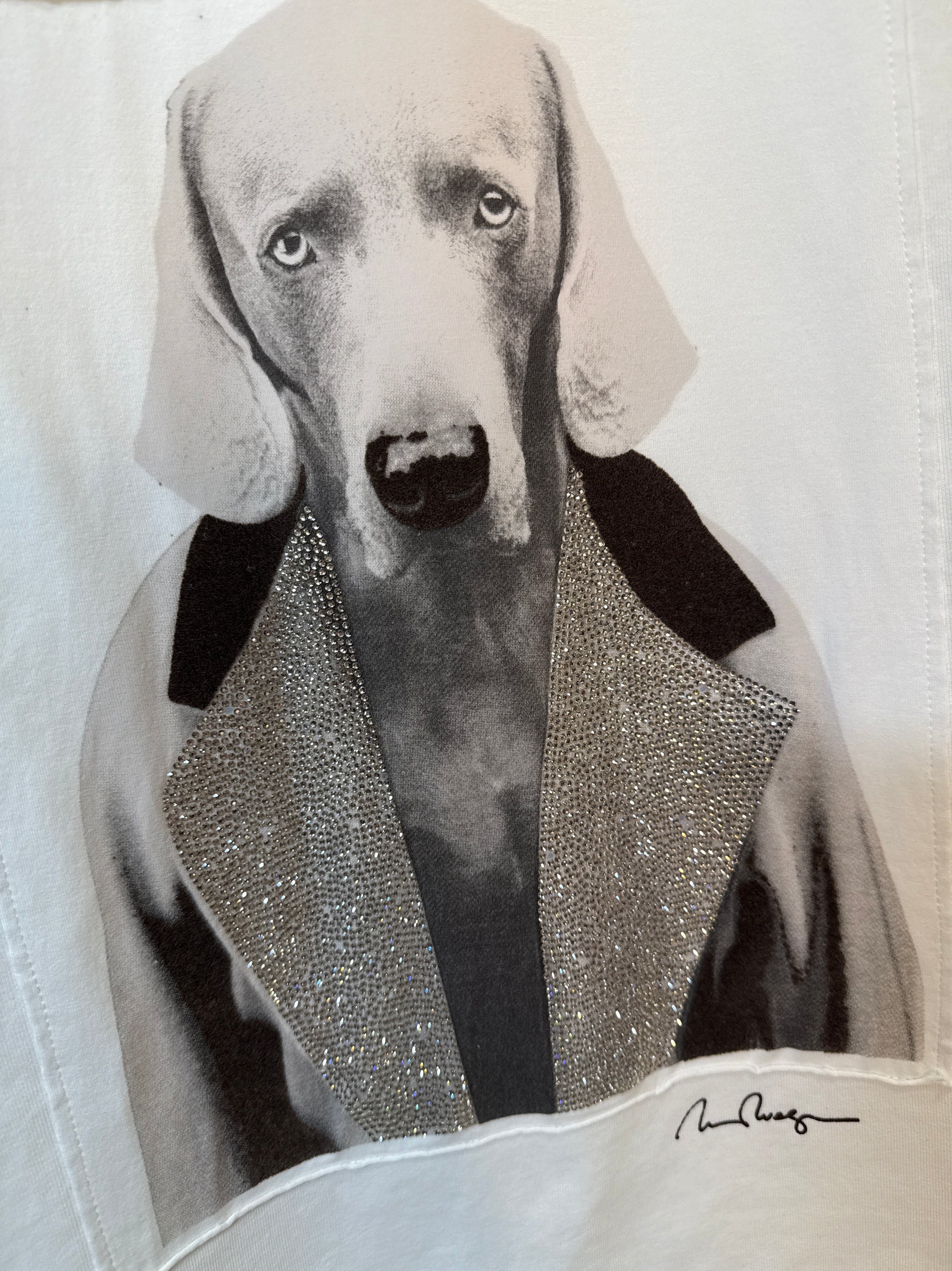 Max mara sparkly alcide XXL