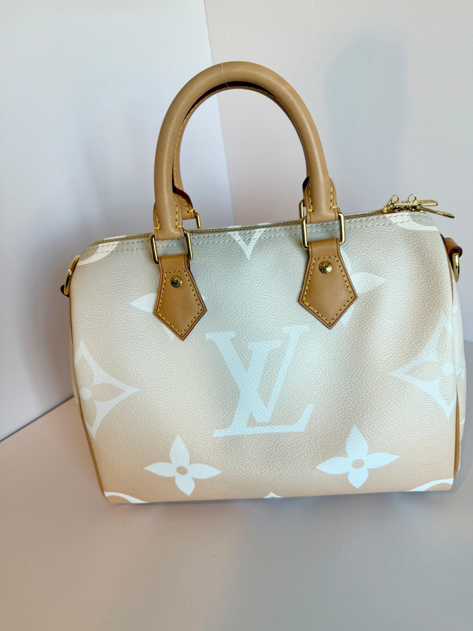 Louis Vuitton Speedy 25 Bandouliere By The Pool Giant Monogram Crossbody Bag