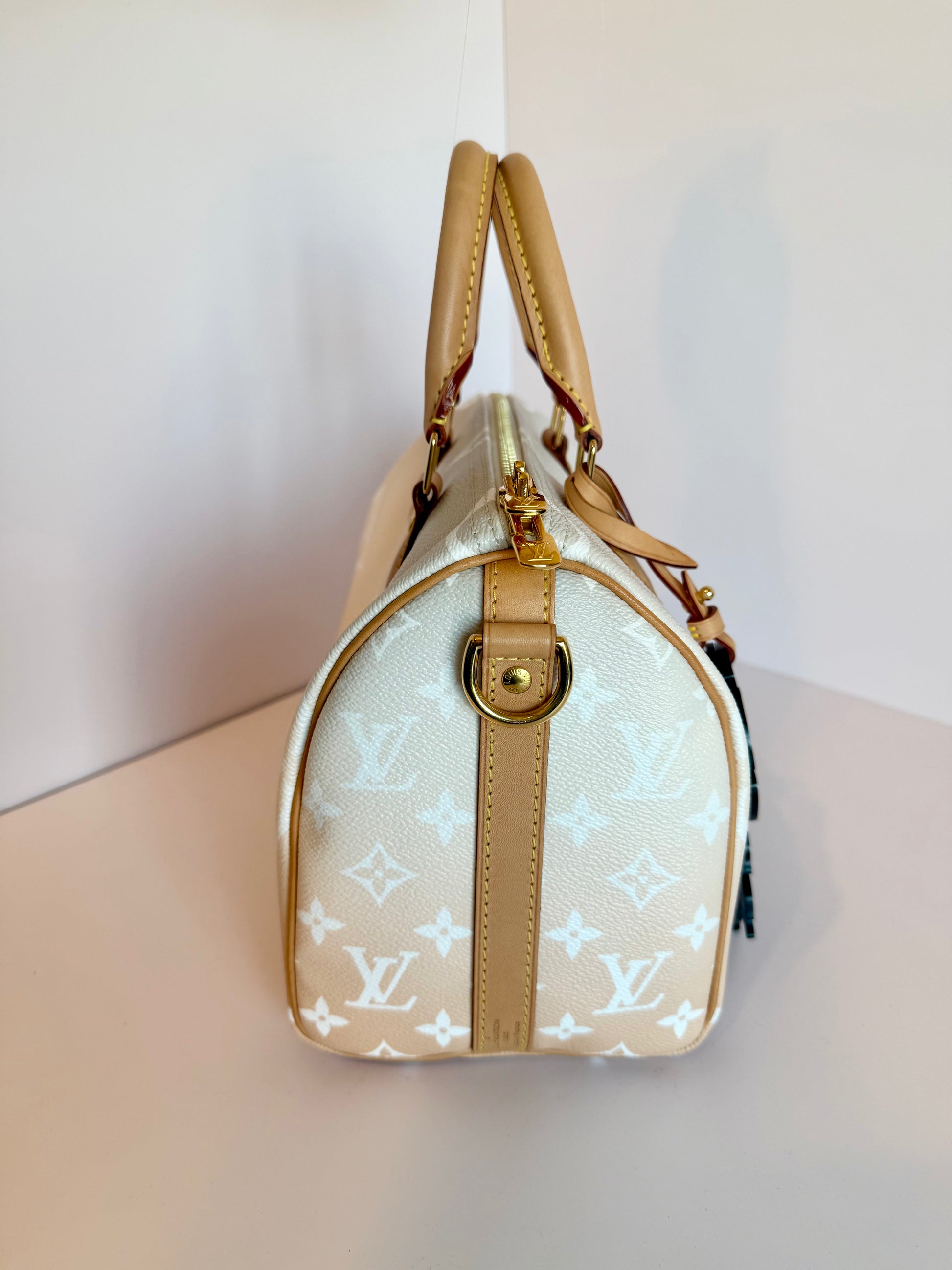 Louis Vuitton Speedy 25 Bandouliere By The Pool Giant Monogram Crossbody Bag