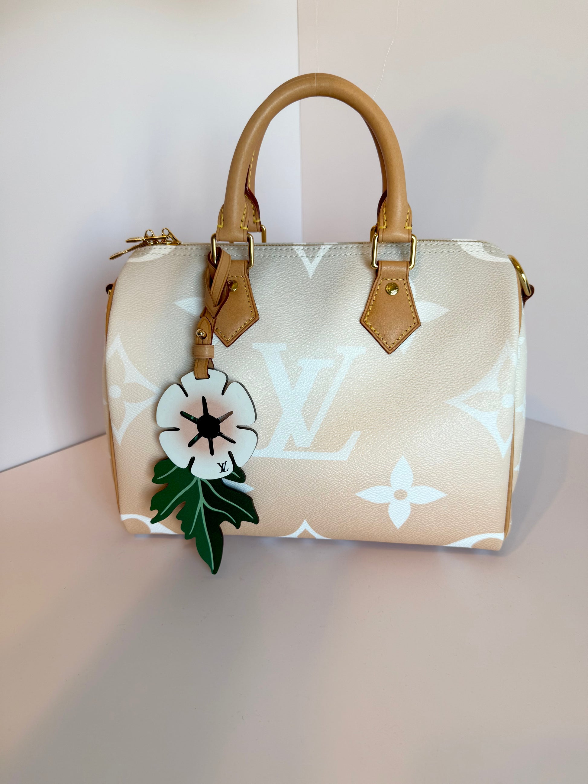 Louis Vuitton Speedy 25 Bandouliere By The Pool Giant Monogram Crossbody Bag