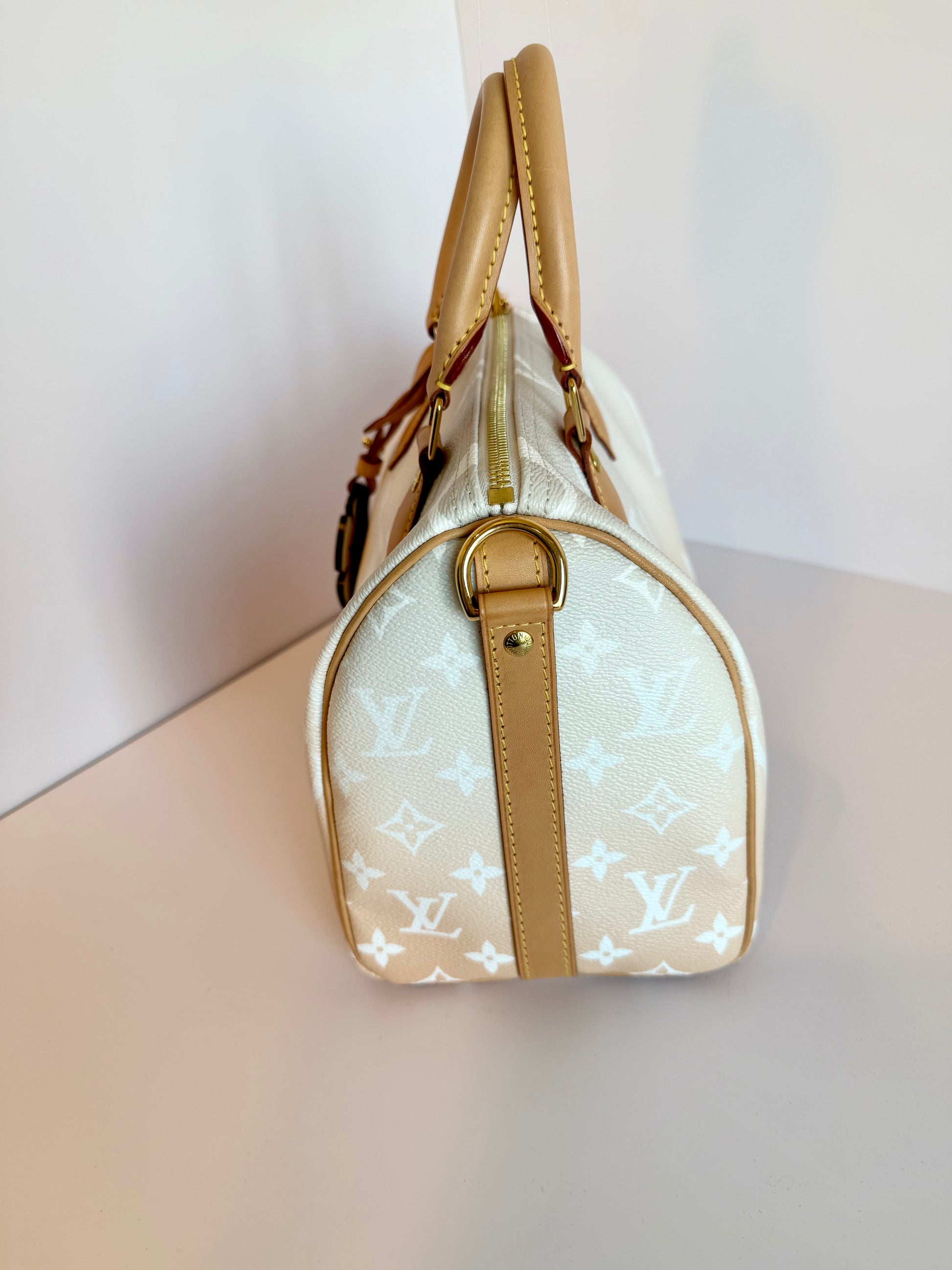 Louis Vuitton Speedy 25 Bandouliere By The Pool Giant Monogram Crossbody Bag