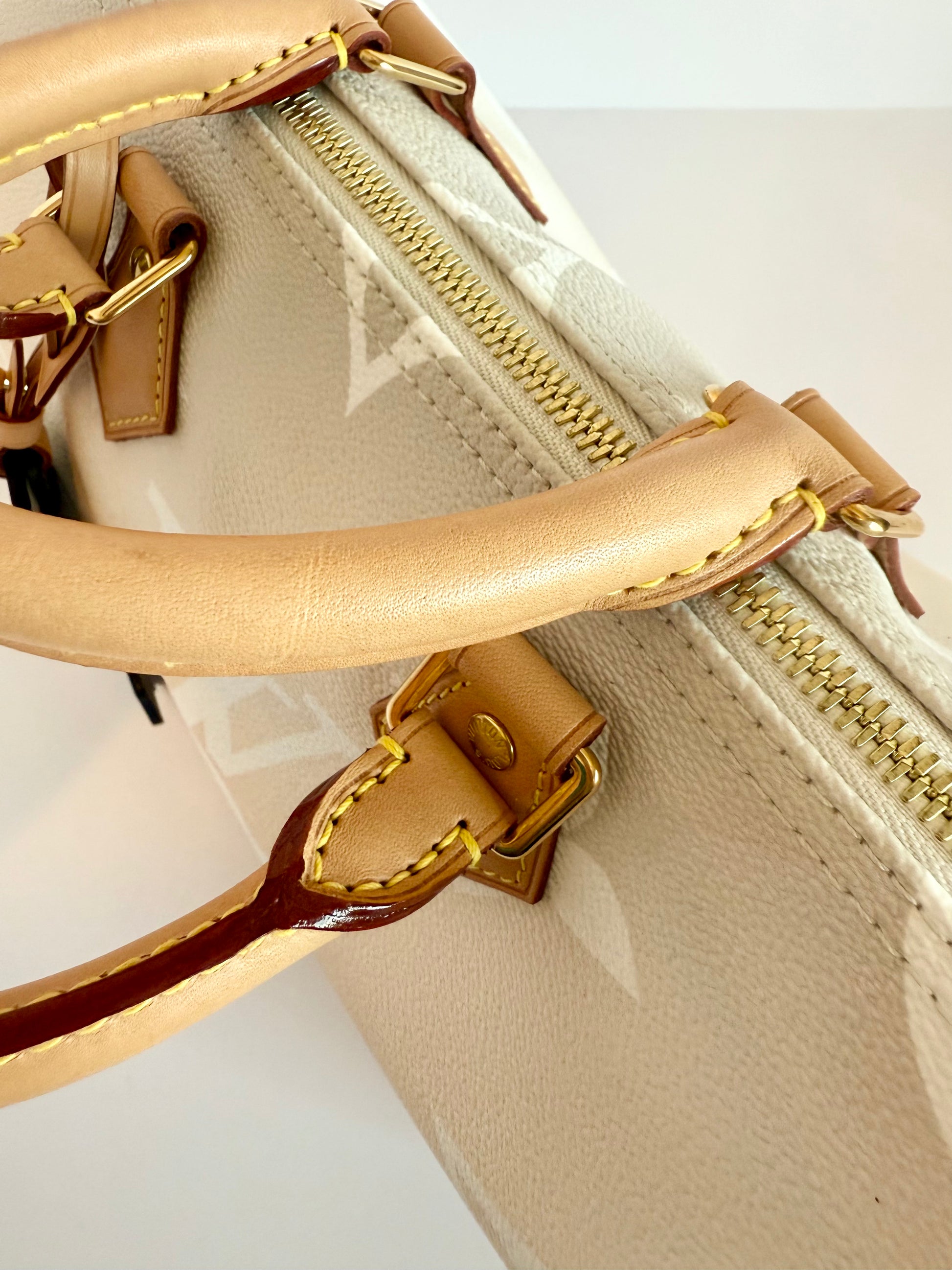 Louis Vuitton Speedy 25 Bandouliere By The Pool Giant Monogram Crossbody Bag