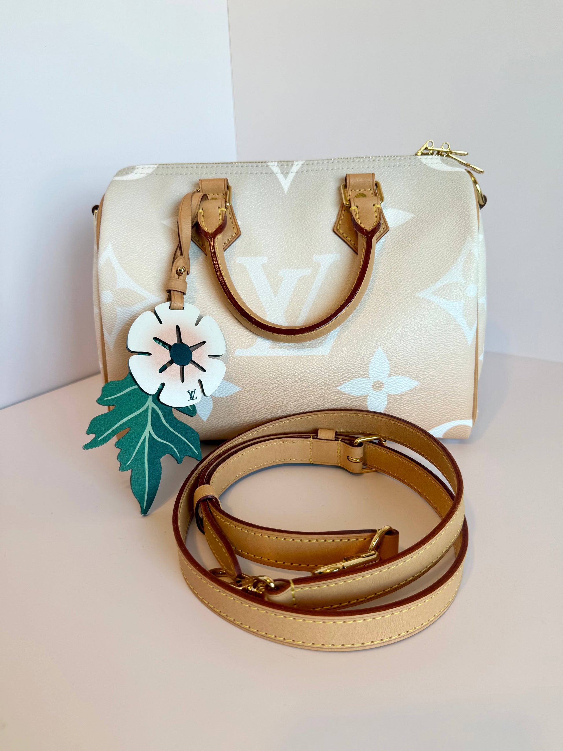 Louis Vuitton Speedy 25 Bandouliere By The Pool Giant Monogram Crossbody Bag