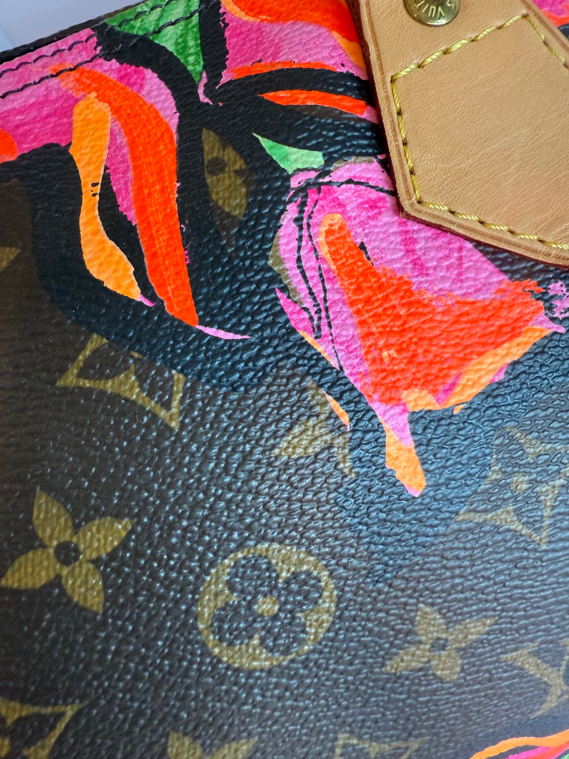 Louis Vuitton Stephen Sprouse ROSES speedy 30