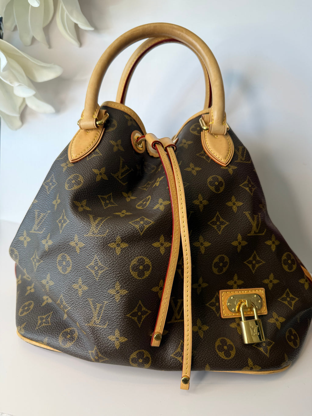 Louis Vuitton Neo bucket bag monogram