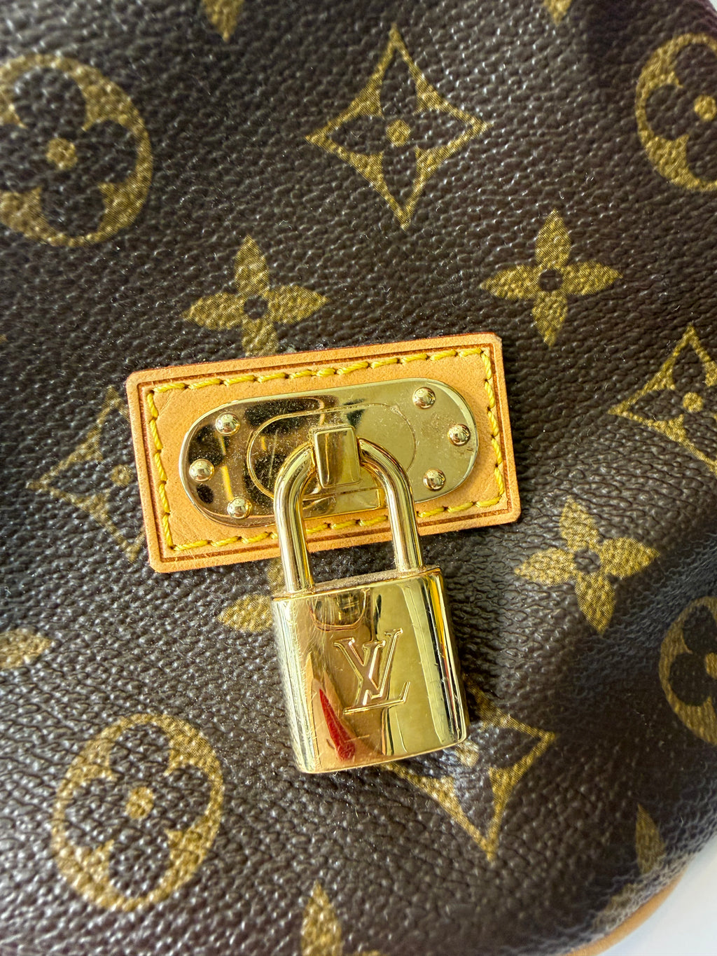 Louis Vuitton Neo bucket bag monogram