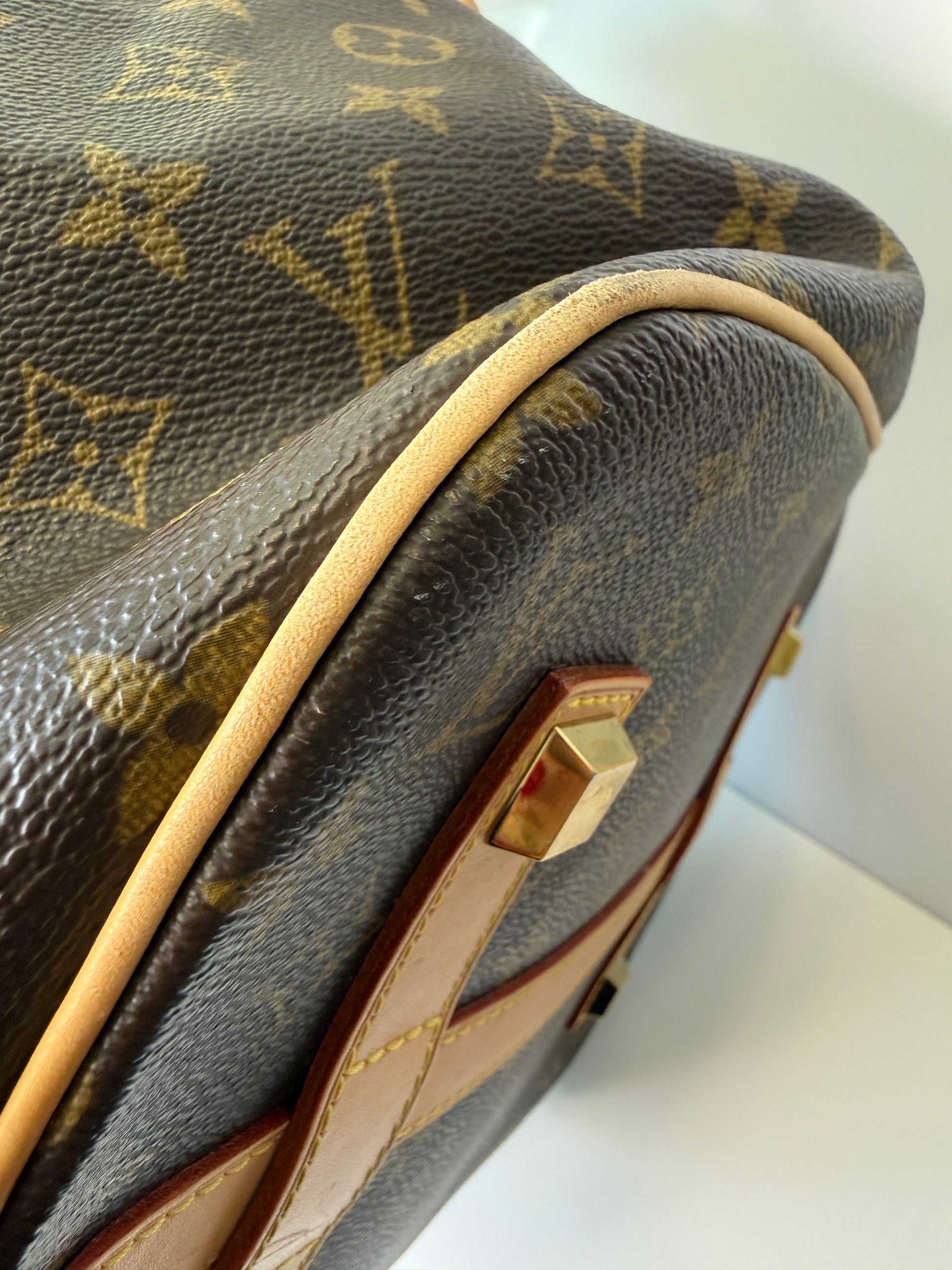 Louis Vuitton Neo bucket bag monogram