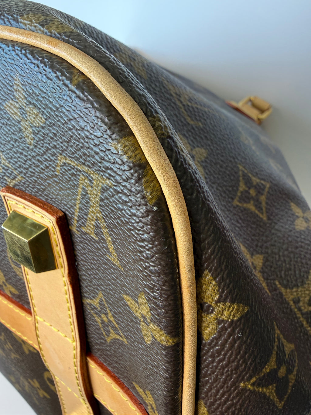 Louis Vuitton Neo bucket bag monogram