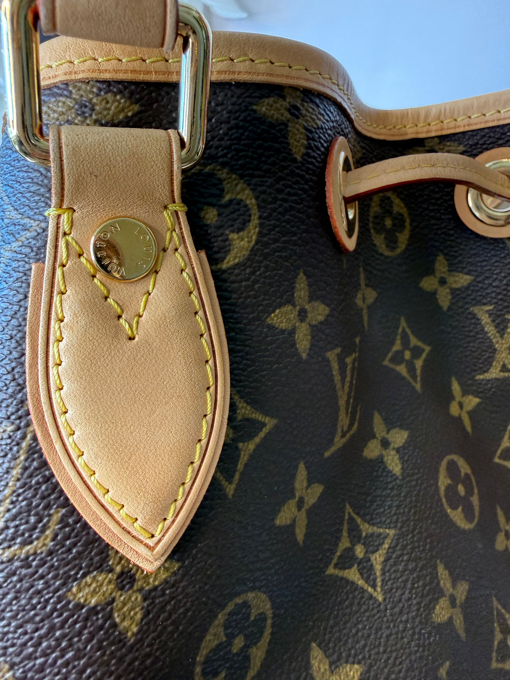 Louis Vuitton Neo bucket bag monogram
