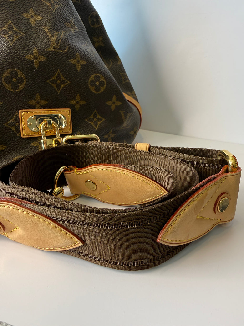 Louis Vuitton Neo bucket bag monogram
