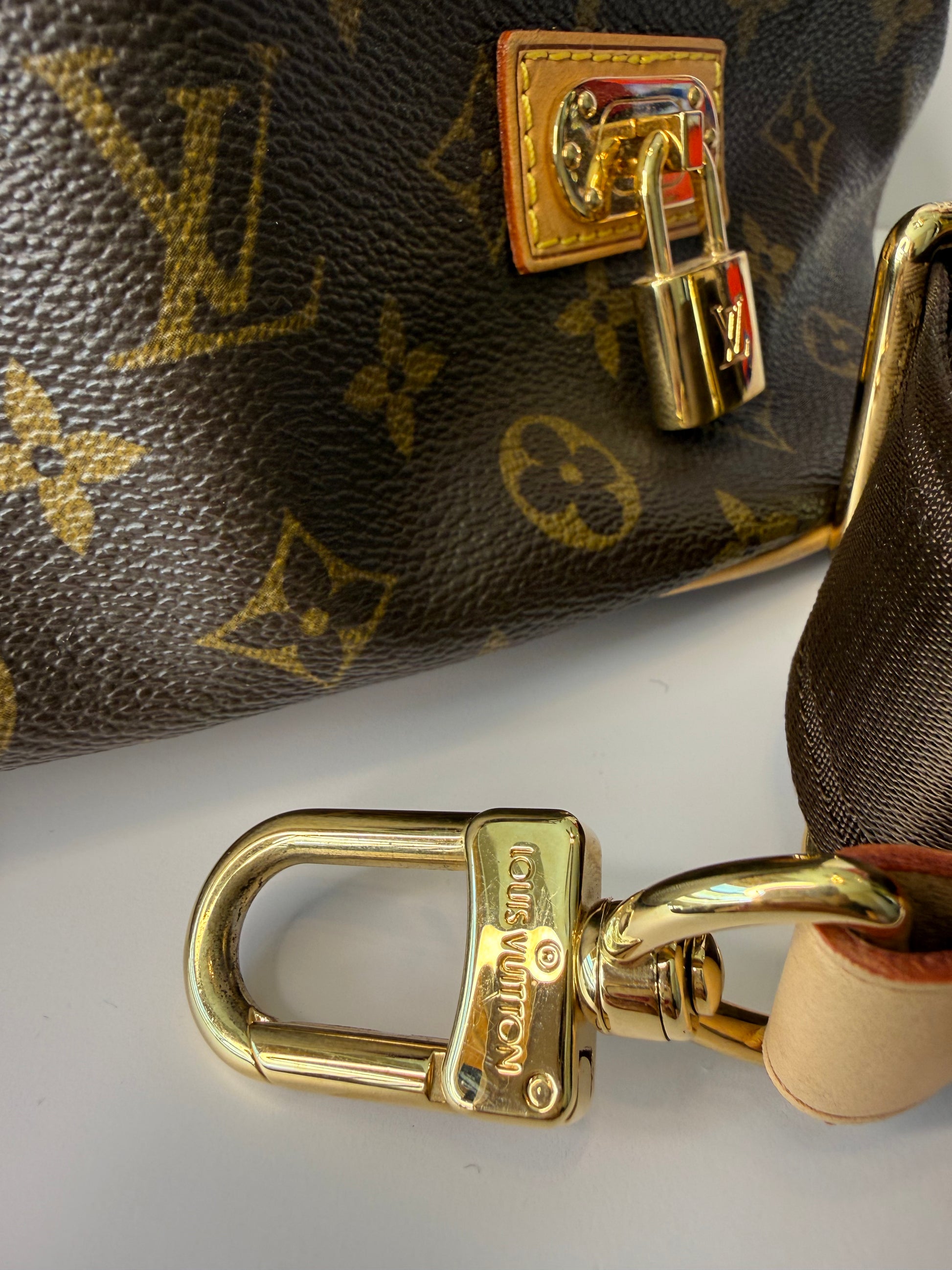 Louis Vuitton Neo bucket bag monogram