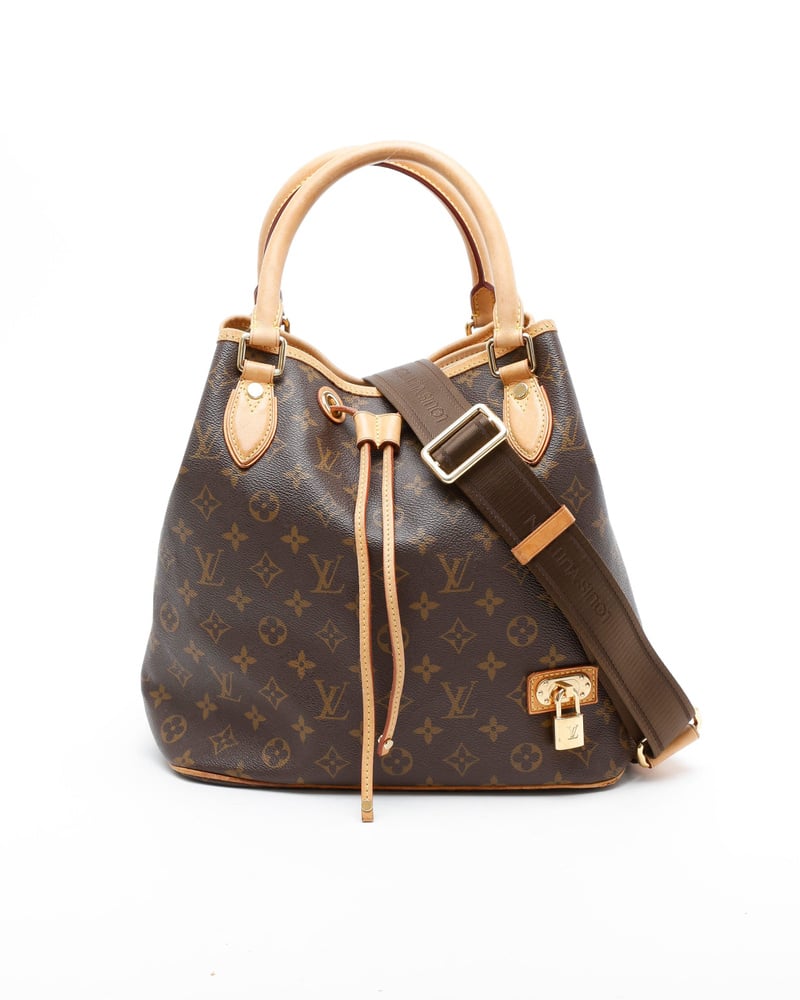 Louis Vuitton Neo bucket bag monogram